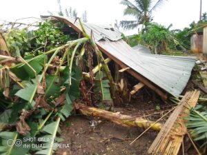 Rainstorm hits Wassa Dompim, leaves over 100 houses roofless