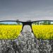 Looking through glasses to bleach nature landscape with blue sky and yellow field. Color blindness. World perception during depression. Medical condition. Health and disease concept.