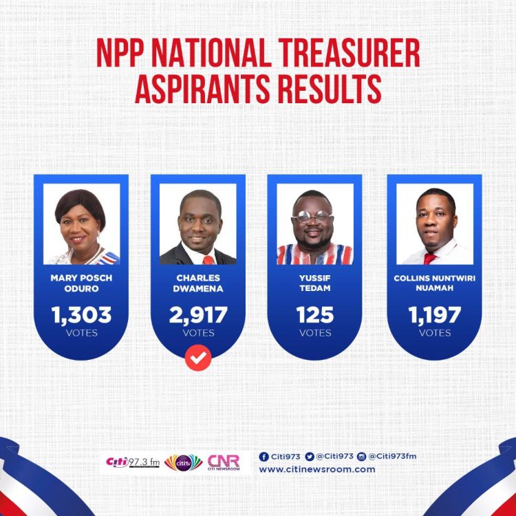 How NPP delegates voted for their new national leaders [Full results]