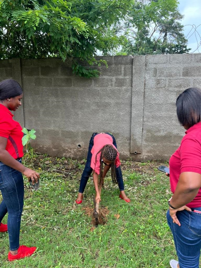 Absa Bank plants 10,000 trees in support of Climate Change