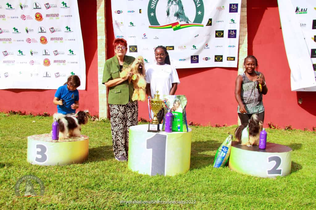 The Best ShihTzu, Dobermann & Cane Corso in Ghana unveiled at Specialty Dog Show