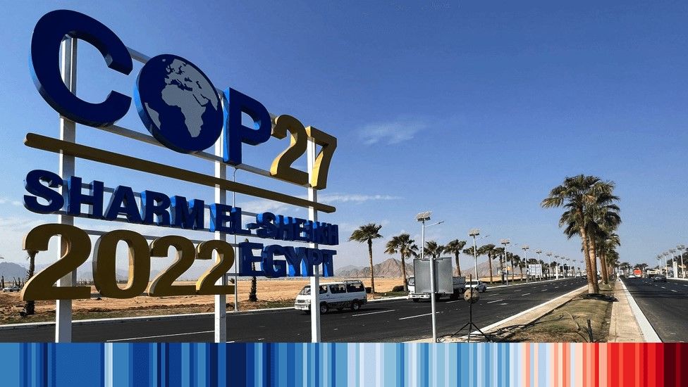 Environment Ministry defends 350 delegates participating in COP27