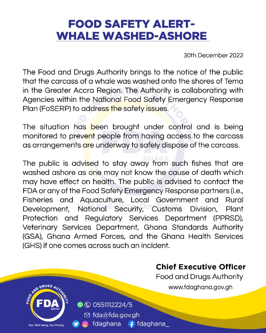 Don’t consume whale washed ashore at Tema – FDA cautions
