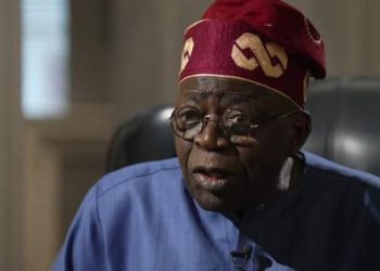 Nigeria's President Bola Tinubu has attended the climate conference in Dubai