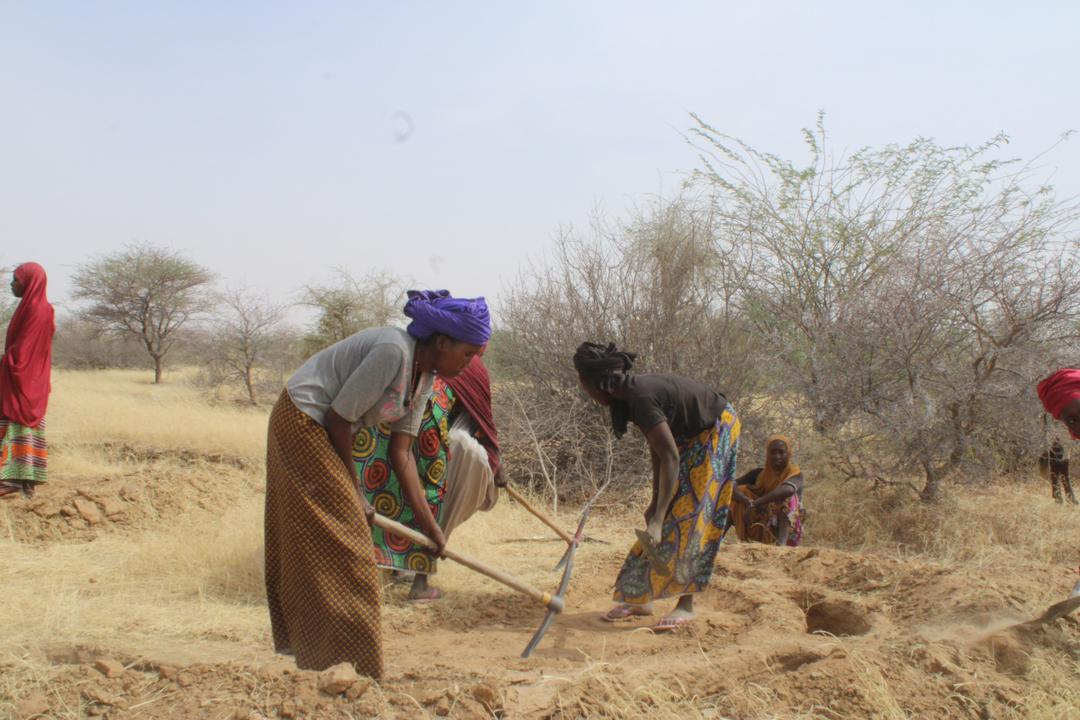 How land restoration is reshaping Niger’s future