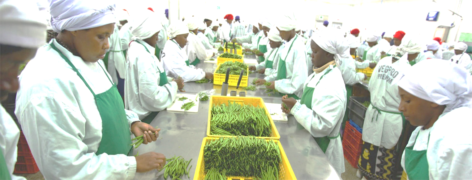 GIRSAL and DBG sponsor bankers to learn from Kenya’s VegPro Group