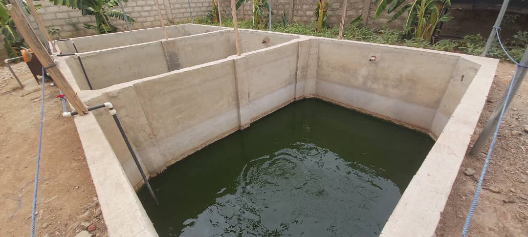 U/E: Subsidize feed to make fish farming attractive to youth – Govt urged