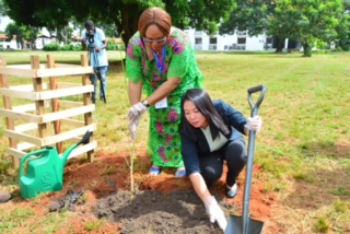FICAC plants trees at University of Ghana