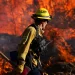 A firefighter works to extinguish the Highland Fire, a wildfire near Aguanga, California, October 31, 2023