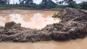 Chinese national, six others arrested over illegal mining