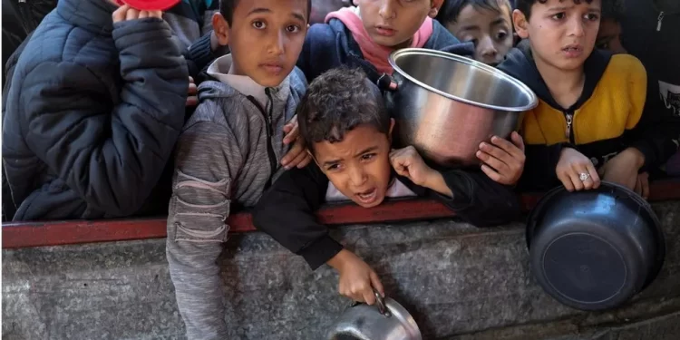 Some 1.5 million Palestinians - including many children - are estimated to be now living in Rafah