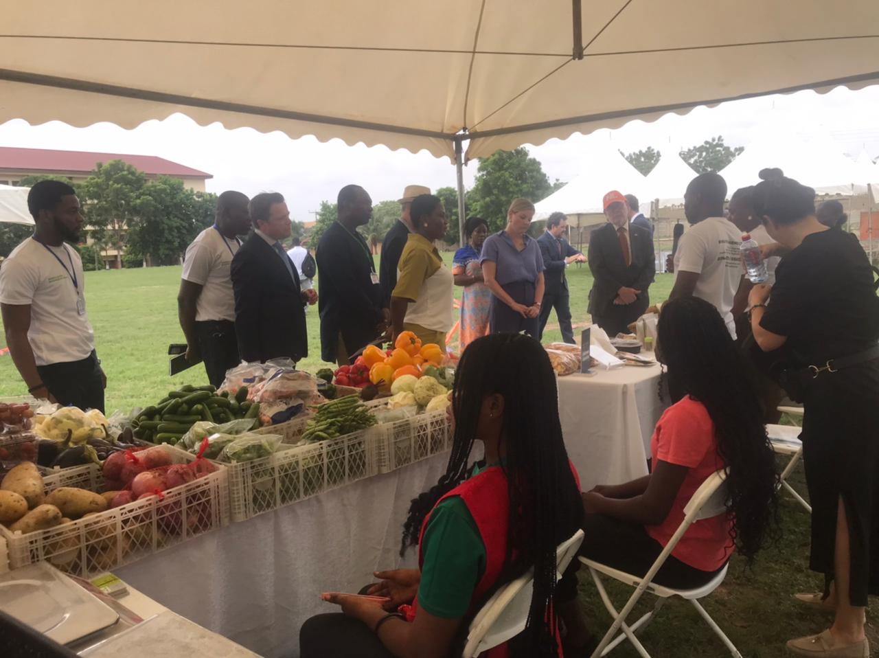 Netherlands to invest €4m in Ghana’s agricultural industry