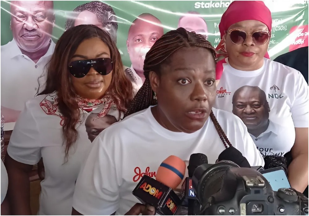 PWDs rally support for NDC victory in 2024