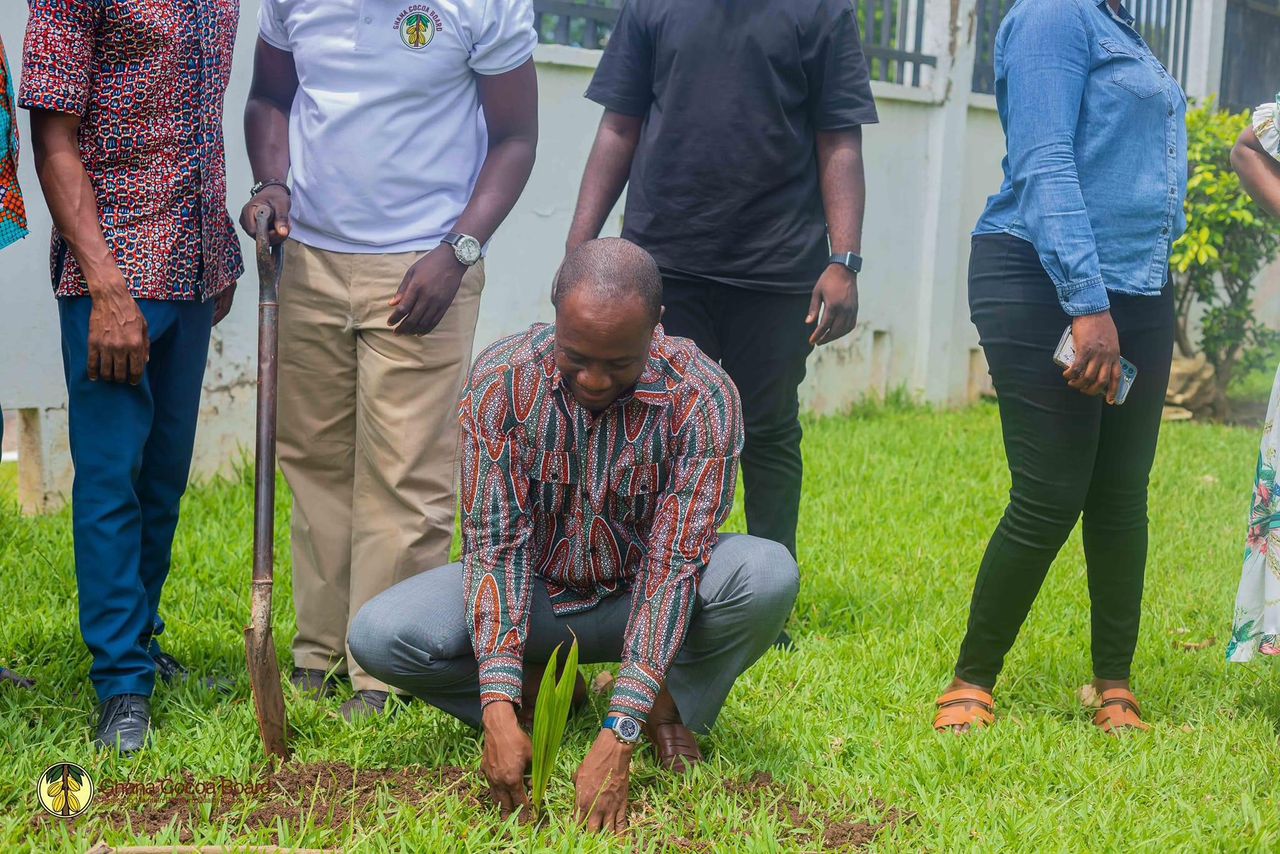 COCOBOD employees support Green Ghana Day to combat climate change