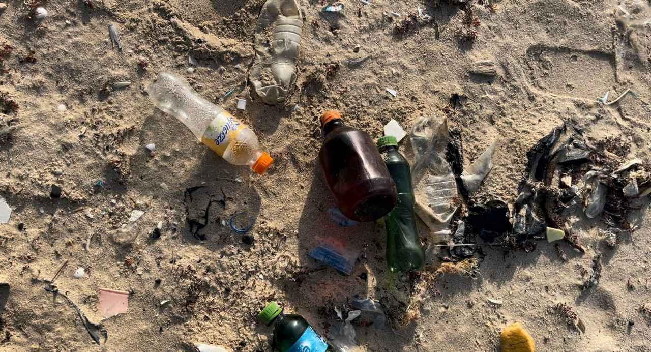 From Winneba’s Shores to West Africa’s Future: ECOWAS MPs Confront the Plastic Crisis