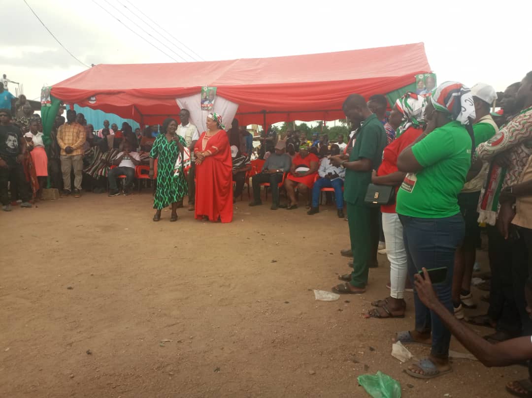 Ablakwa urges support for Mahama and NDC parliamentary candidates