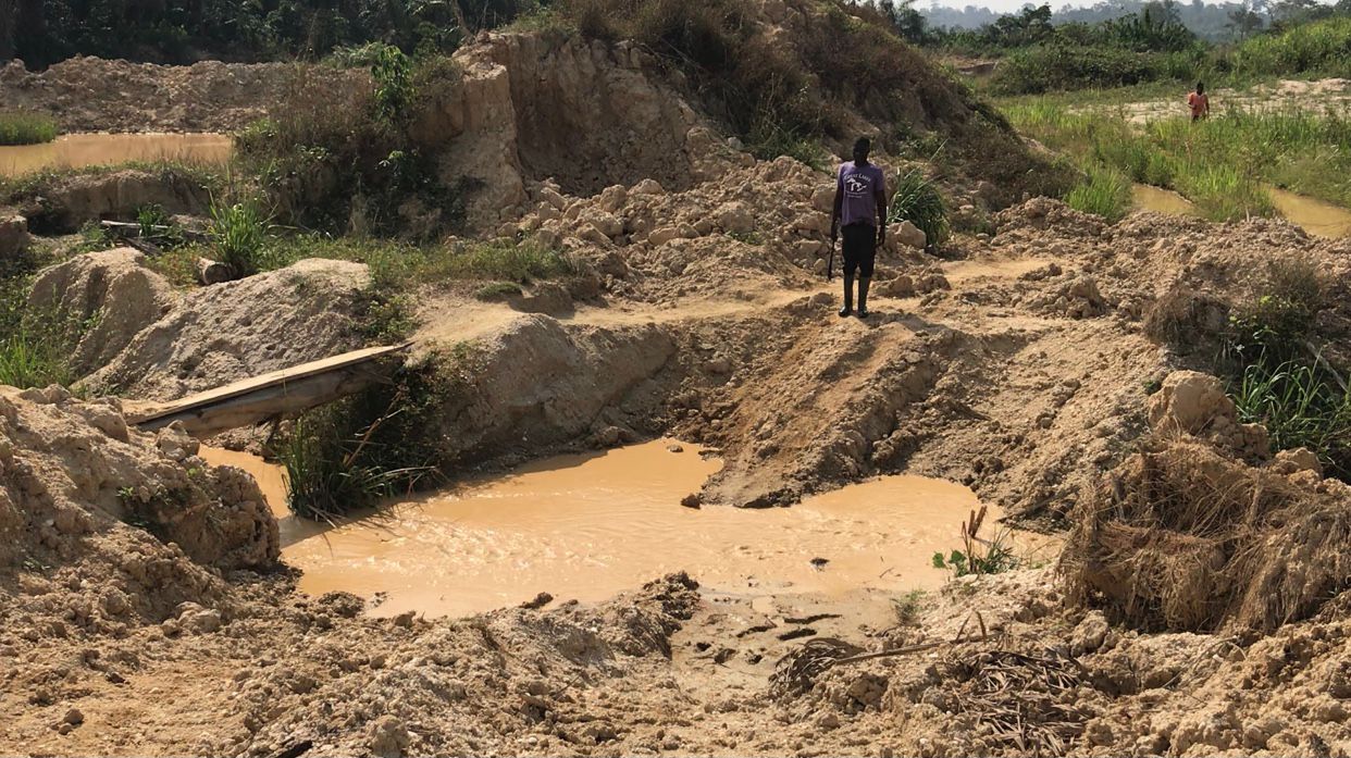 Galamsey cuts off farm access, tonnes of cocoa left to rot in Mfantseman